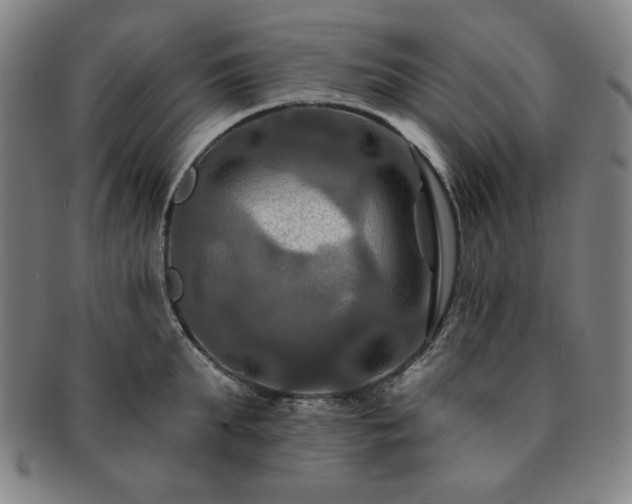 X0000091460903200708231314