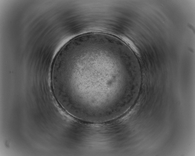 X0000091460904200708231314