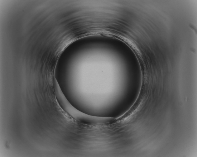 X0000091460905200708231314