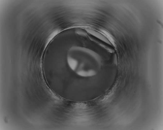 X0000091460907200708231314