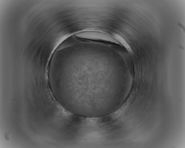 X0000091460908200708231314