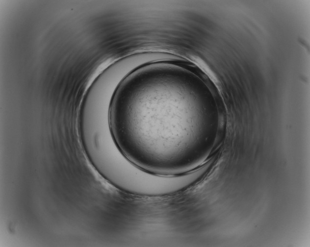 X0000091460909200708231314