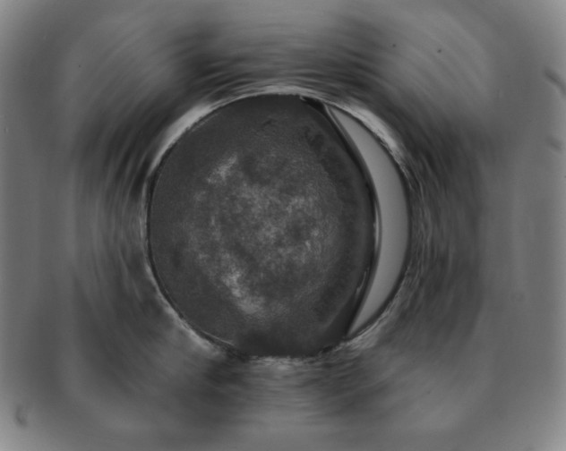 X0000091460910200708231314