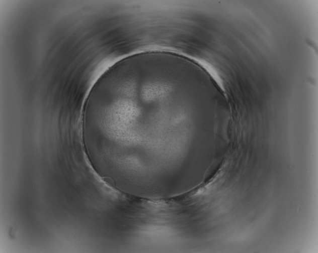 X0000091460911200708231314