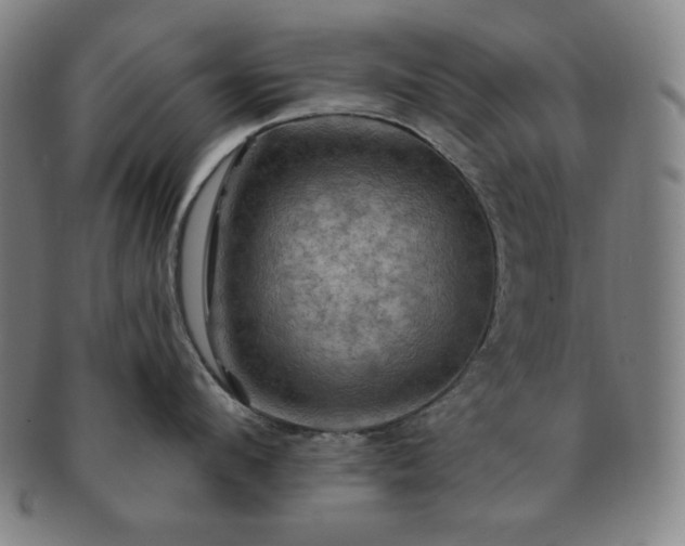 X0000091460912200708231314