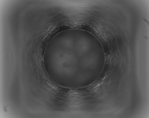 X0000091460913200708231313