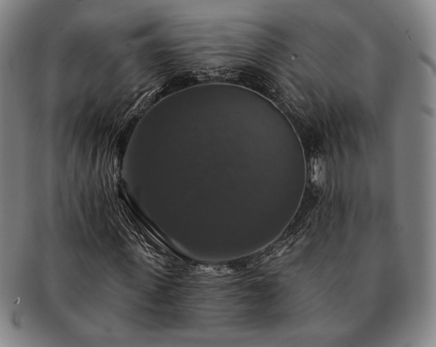 X0000091460915200708231313