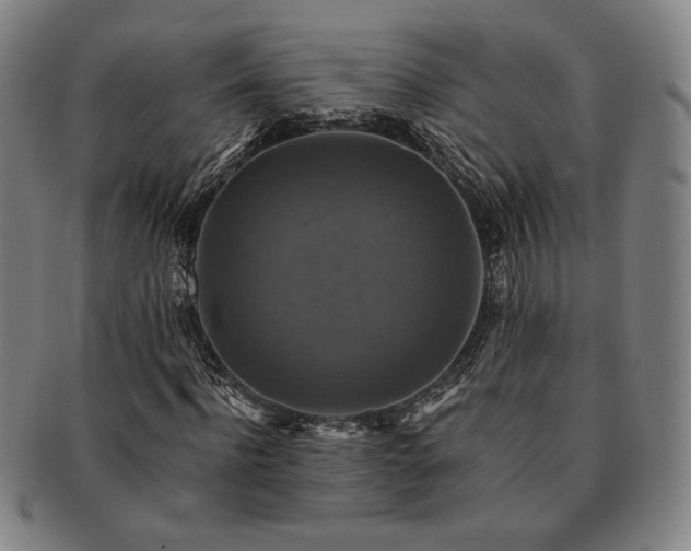 X0000091460916200708231313