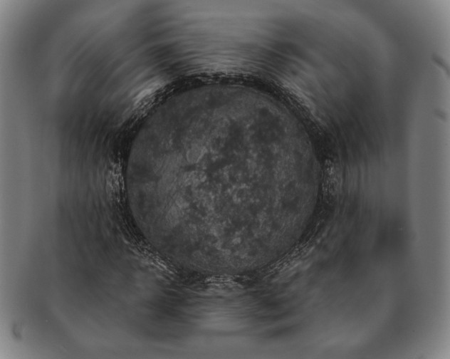 X0000091460918200708231313