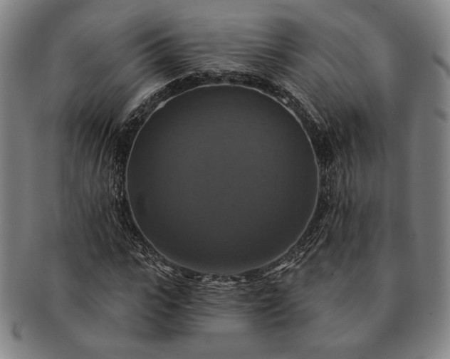 X0000091460919200708231313