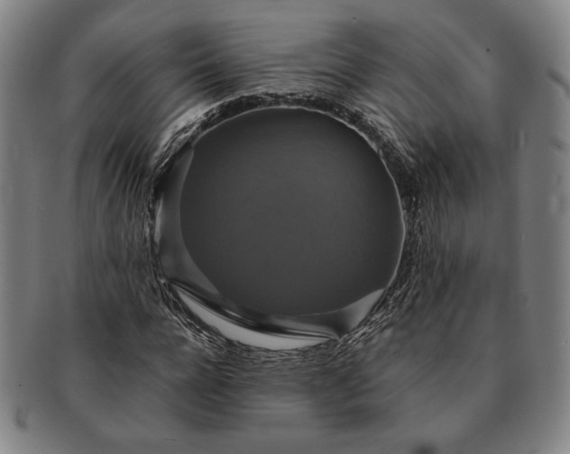 X0000091460920200708231313