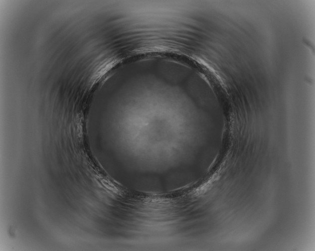 X0000091460921200708231313