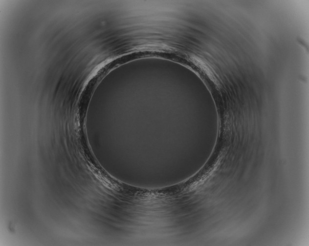 X0000091460923200708231313