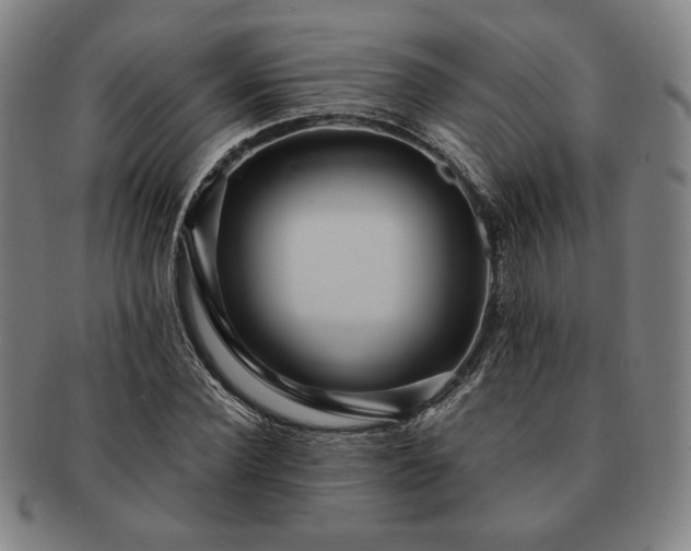 X0000091460924200708231313