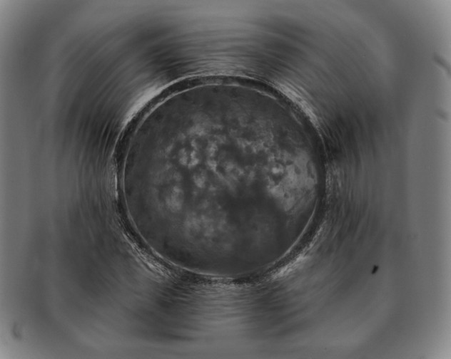 X0000091460925200708231313