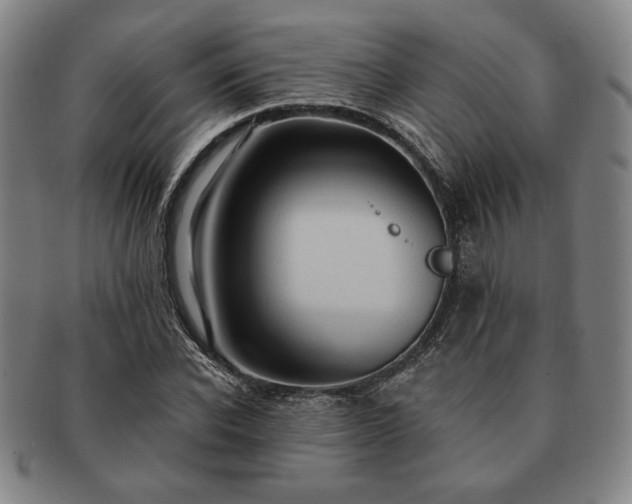 X0000091460926200708231313