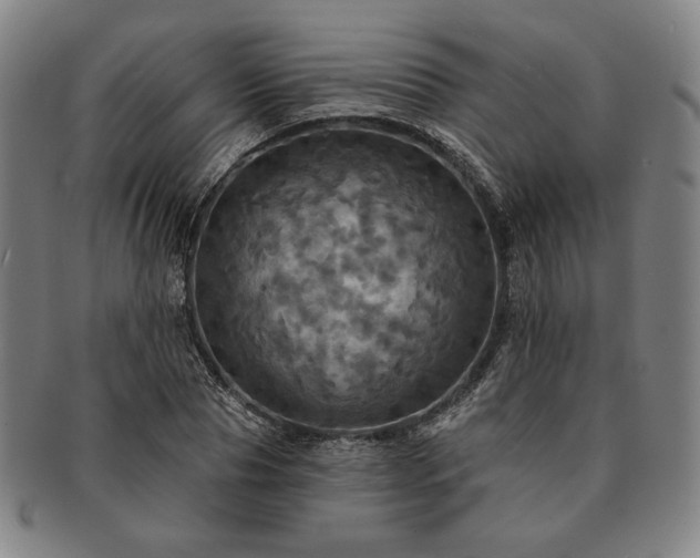 X0000091460929200708231313