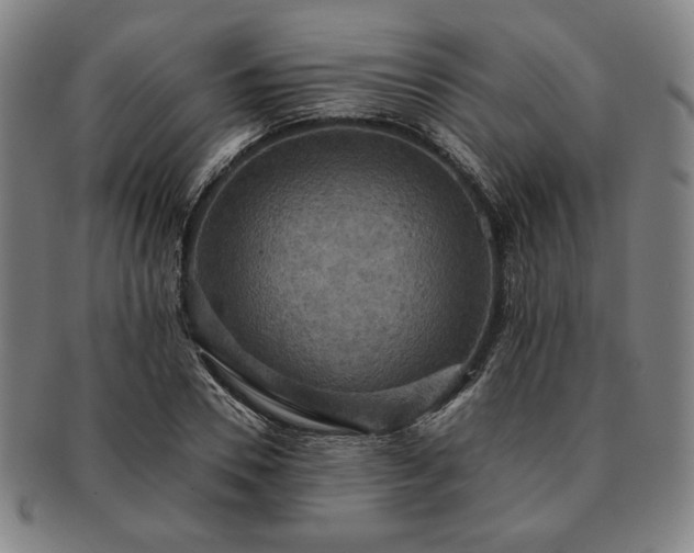 X0000091460930200708231313