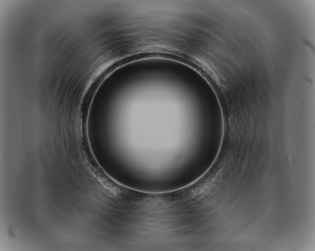 X0000091460931200708231313