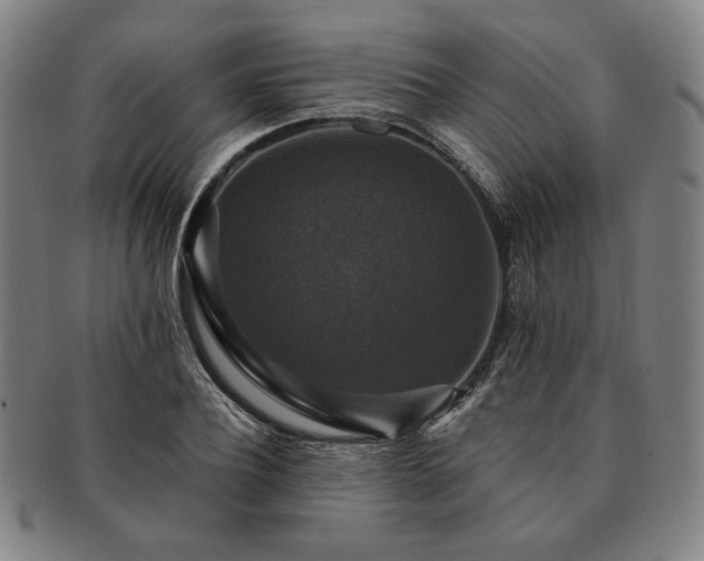X0000091460932200708231313
