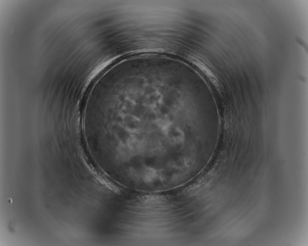 X0000091460933200708231313