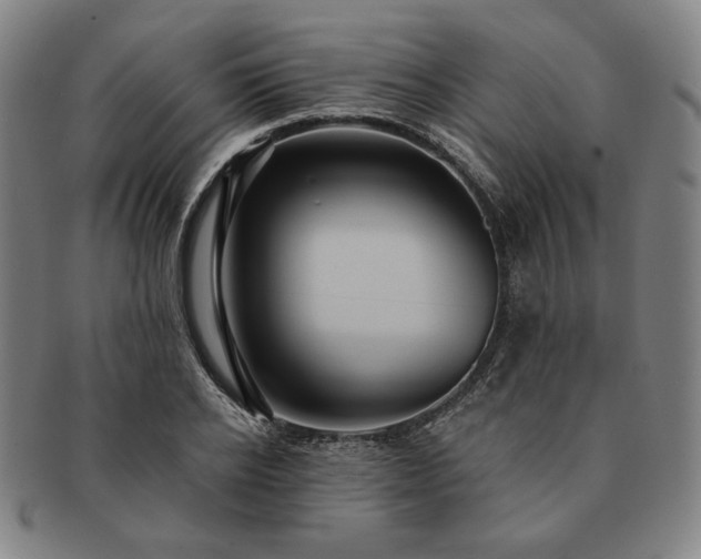 X0000091460934200708231313