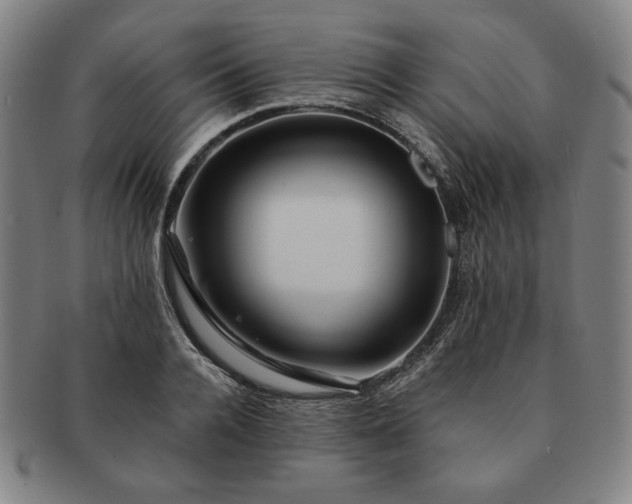 X0000091460936200708231313