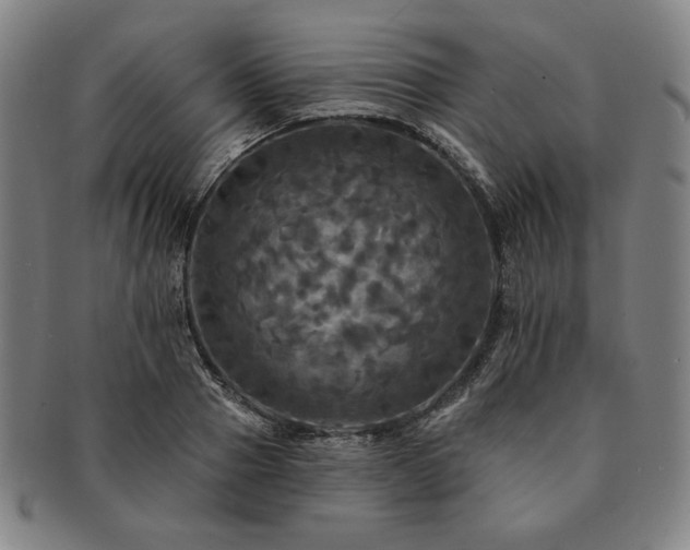X0000091460937200708231313