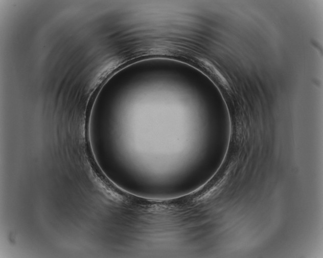 X0000091460938200708231313