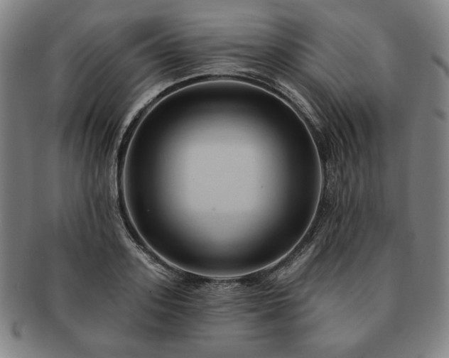 X0000091460939200708231313