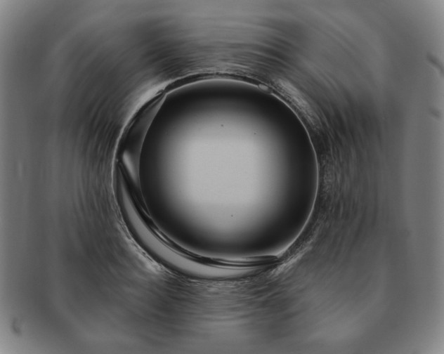 X0000091460940200708231313