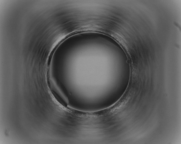 X0000091460941200708231313