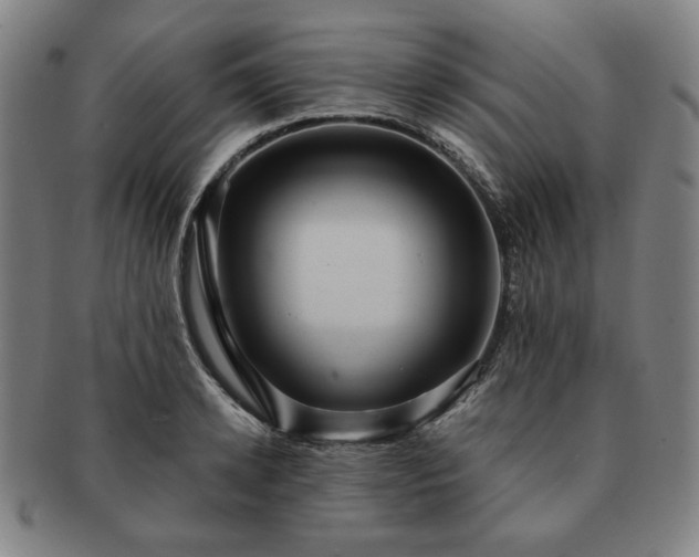 X0000091460942200708231313