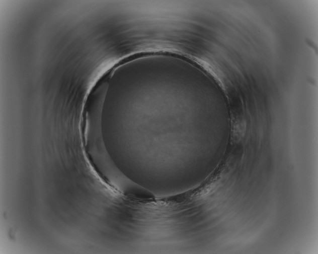 X0000091460943200708231313