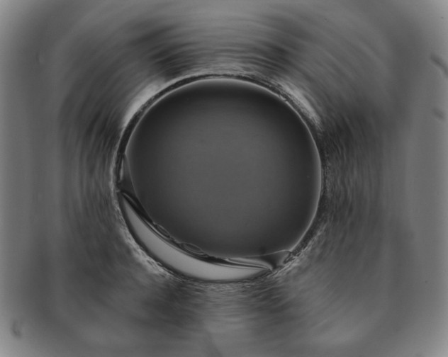X0000091460944200708231313