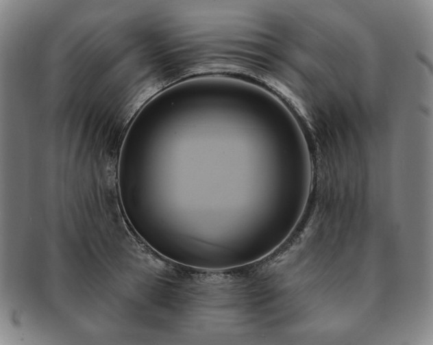 X0000091460945200708231313