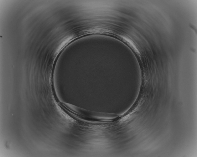 X0000091460946200708231313