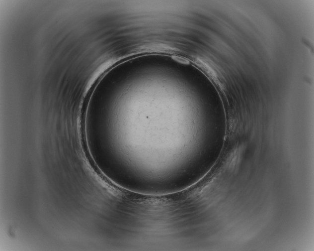 X0000091460947200708231313