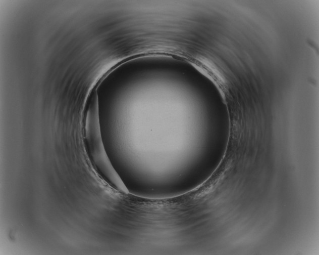 X0000091460948200708231313