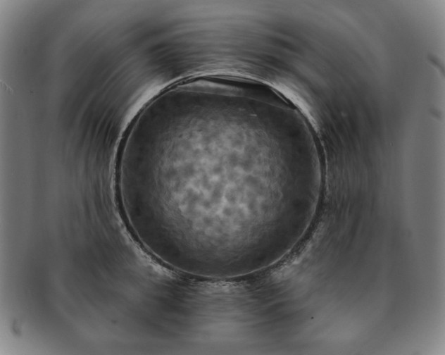X0000091460949200708231313