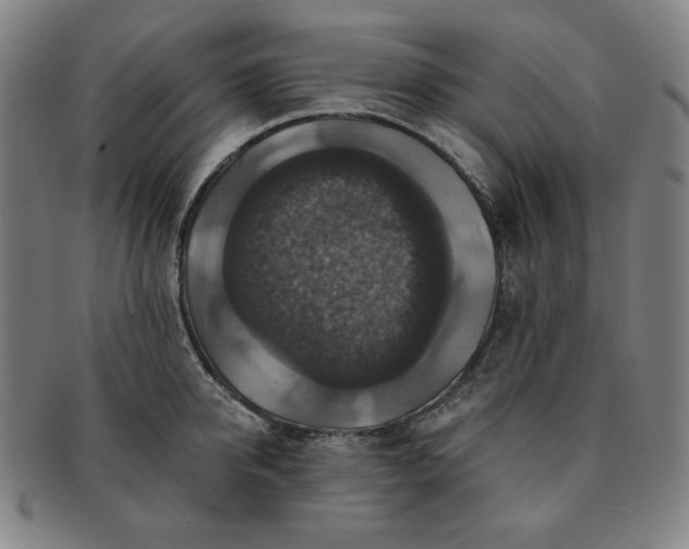 X0000091460950200708231313