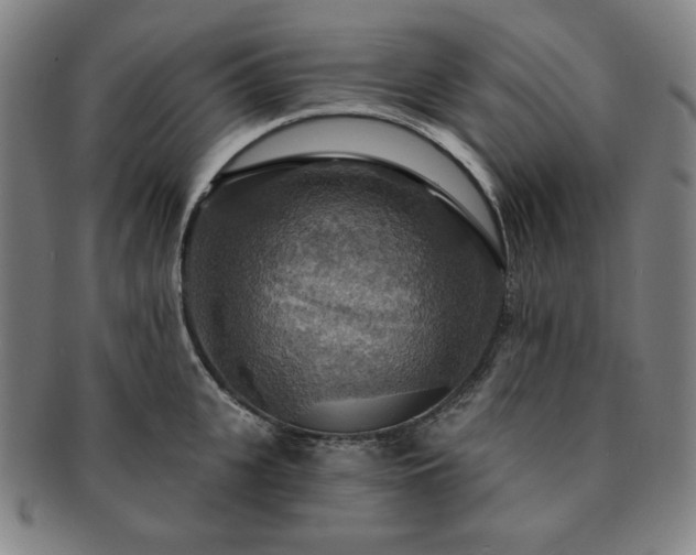 X0000091460951200708231313