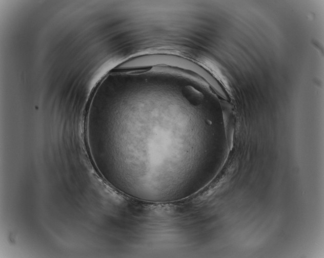 X0000091460952200708231313