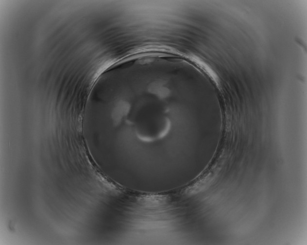 X0000091460953200708231313
