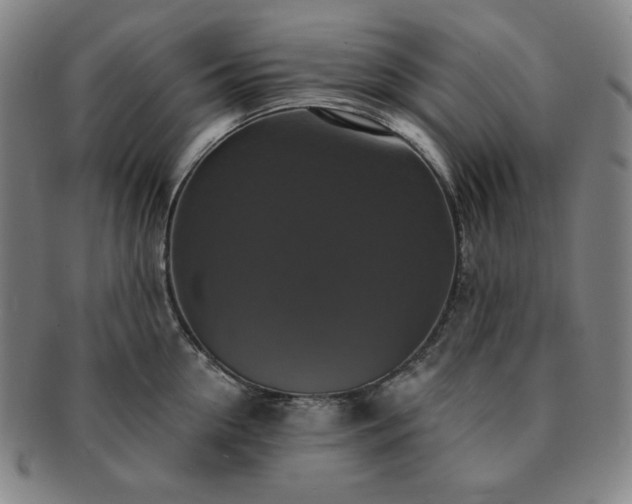 X0000091460954200708231313