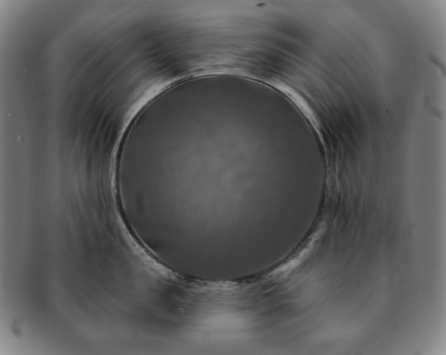 X0000091460957200708231314