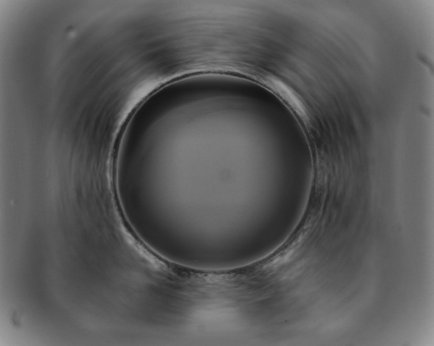 X0000091460958200708231314