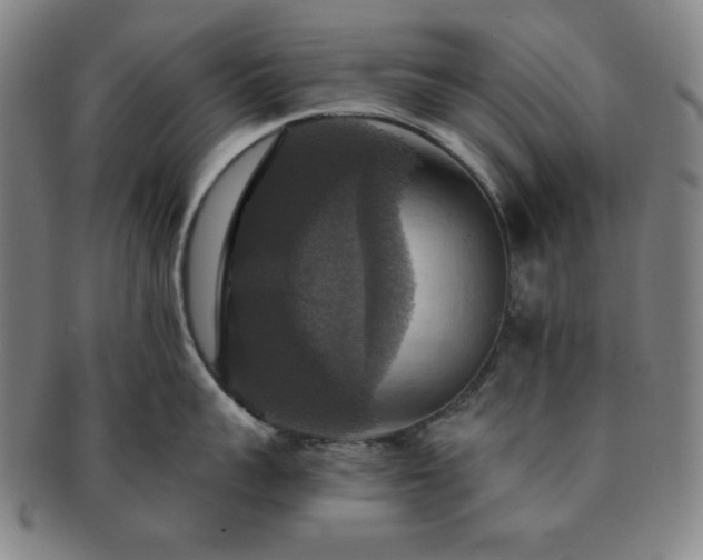 X0000091460959200708231314