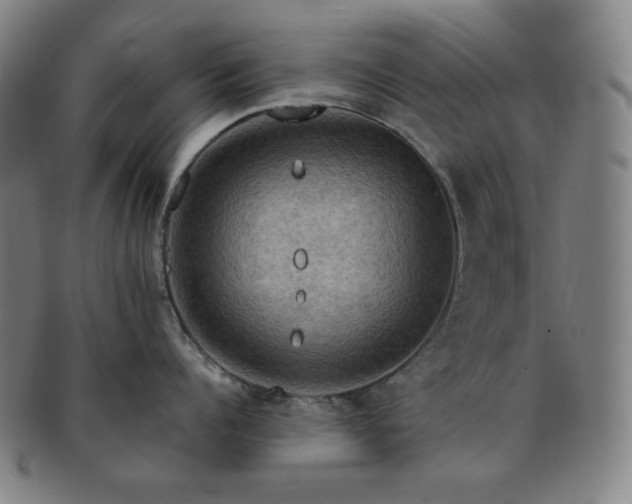 X0000091460960200708231314