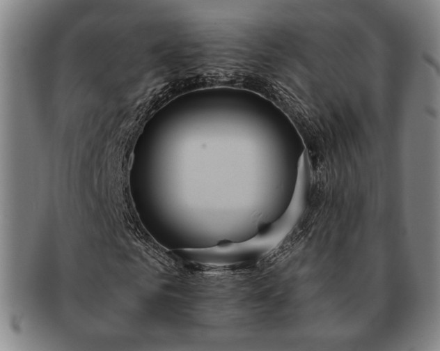 X0000091460961200708231313